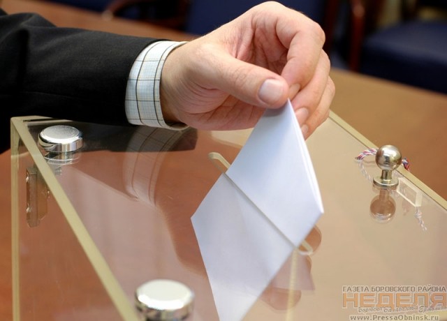 Кривское побило рекорд явки на голосовании по поправкам в Конституцию