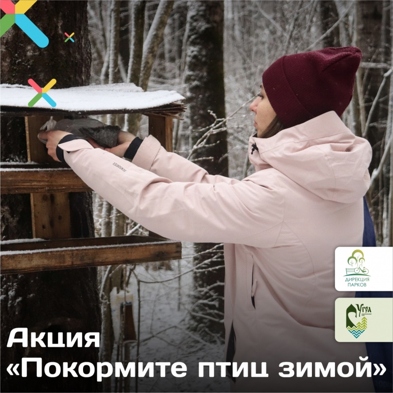 В Калужской области стартовала акция «Покормите птиц зимой!»