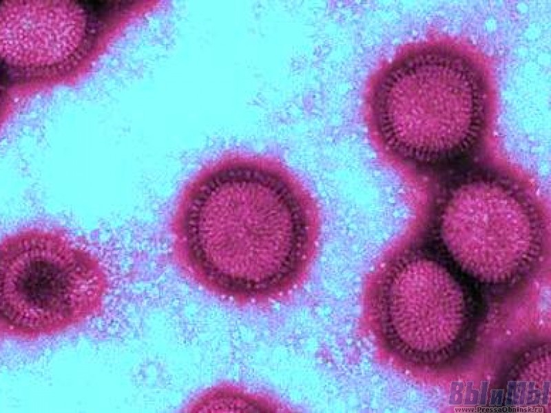 Внимание! В Калужскую область снова пришел грипп A (H1N1)