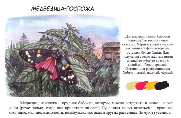 Красную книгу Калужской области можно раскрасить
